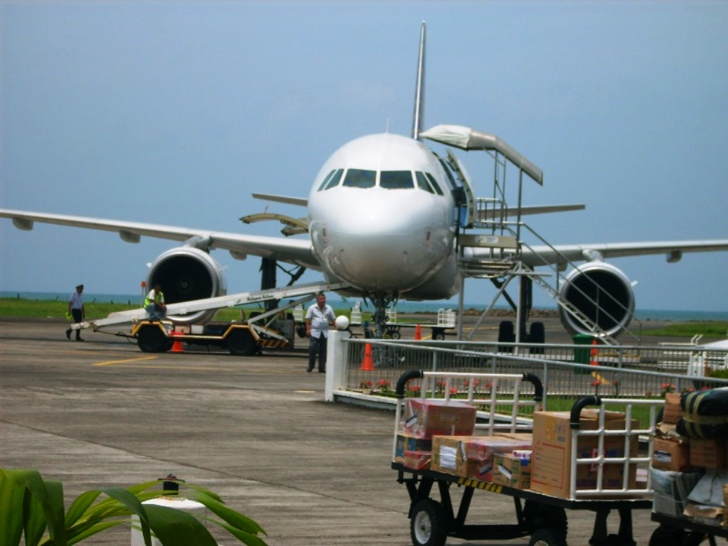 Renewed Life in Jesus Church